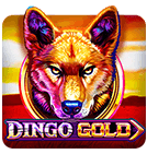 rummy mars 51 bonus code