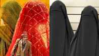 Laapataa Ladies Writer Breaks Silence On Plagiarism Controversy; Says 'I First Registered...'