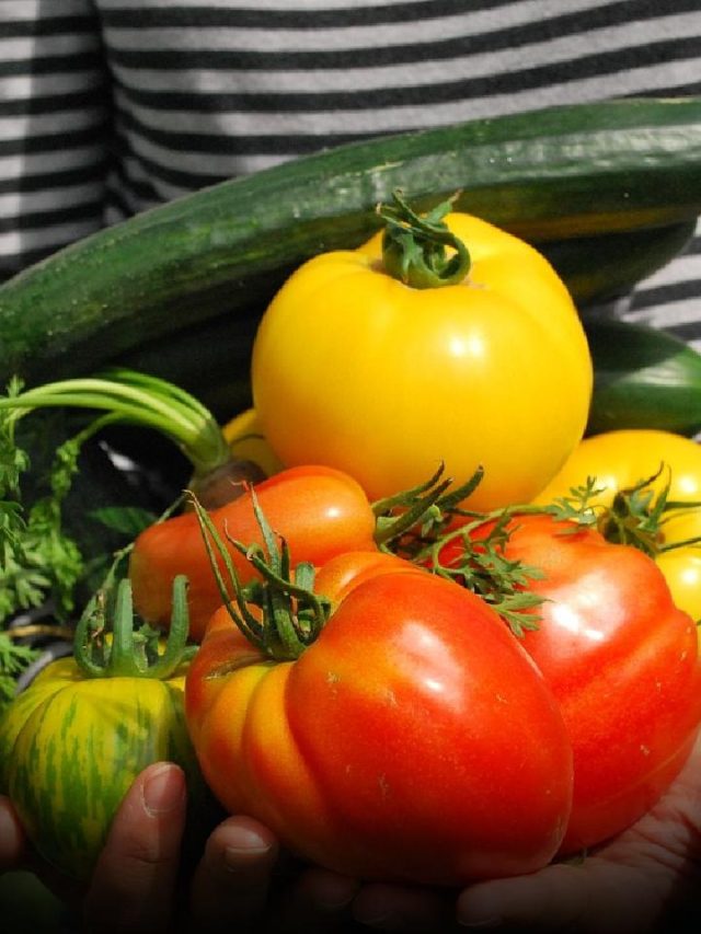 Grow These 5 Veggies Like  Pro : Even If You’re A Gardening Beginner